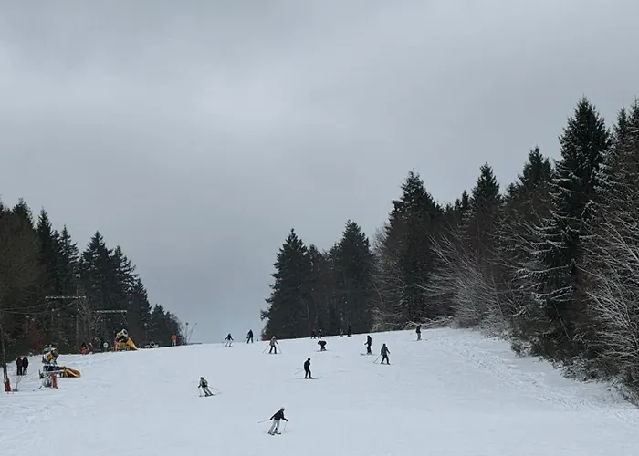 Timos Lejlighed Schmallenberg